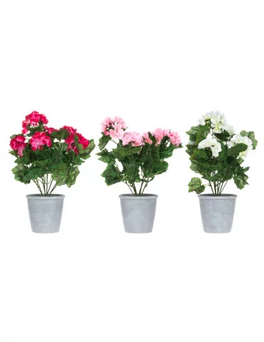 Pelargonia ruukussa 39 cm 4Living