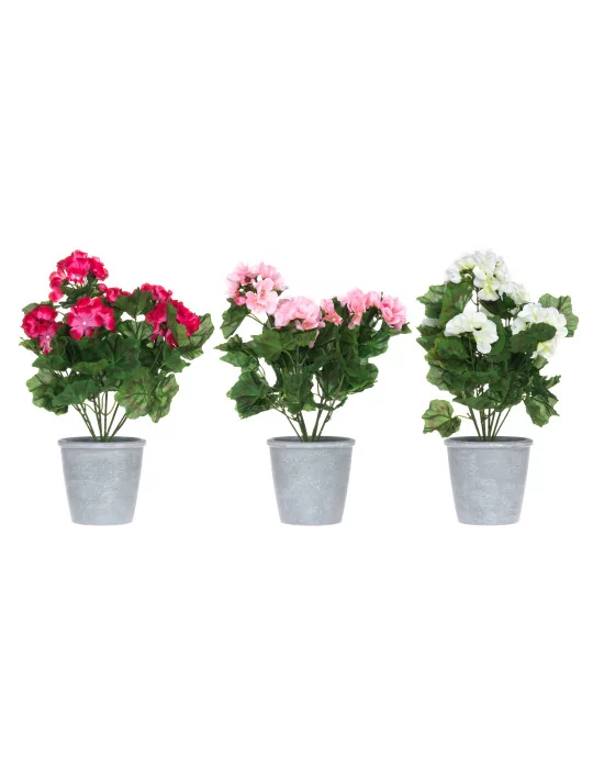 Pelargonia ruukussa 39 cm 4Living