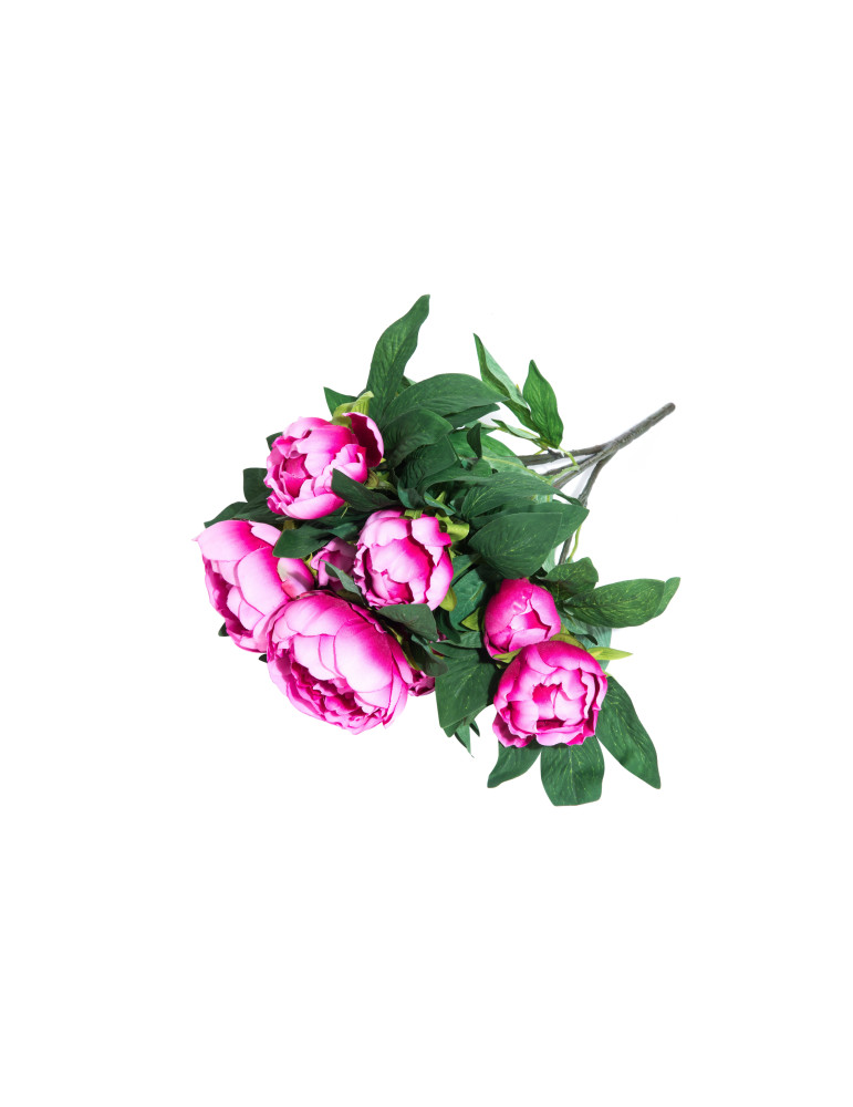 Pionikimppu pinkki 4Living