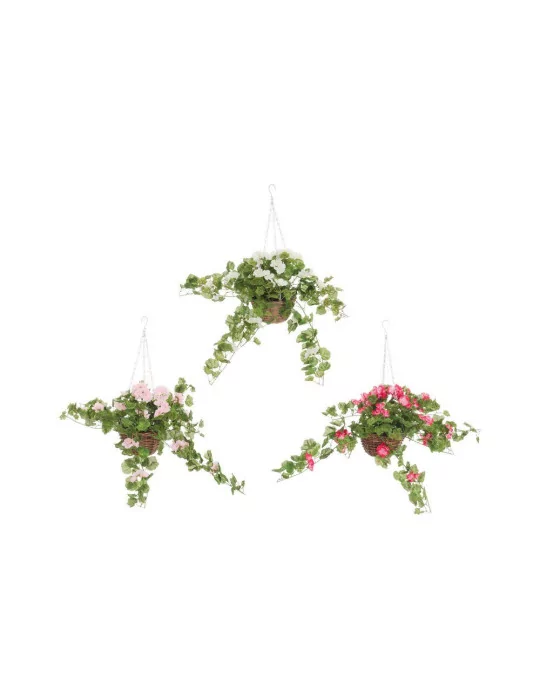 Pelargonia-amppeli, silkkikukka