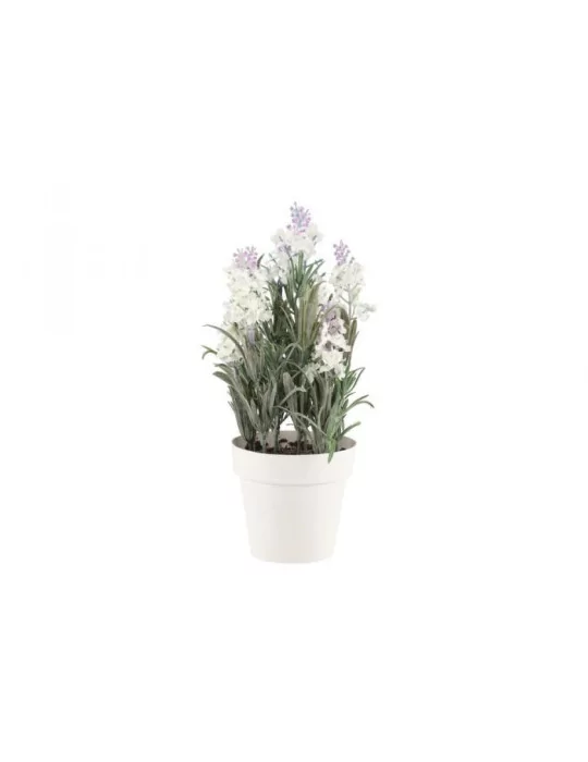 Laventeli 26 cm 4Living