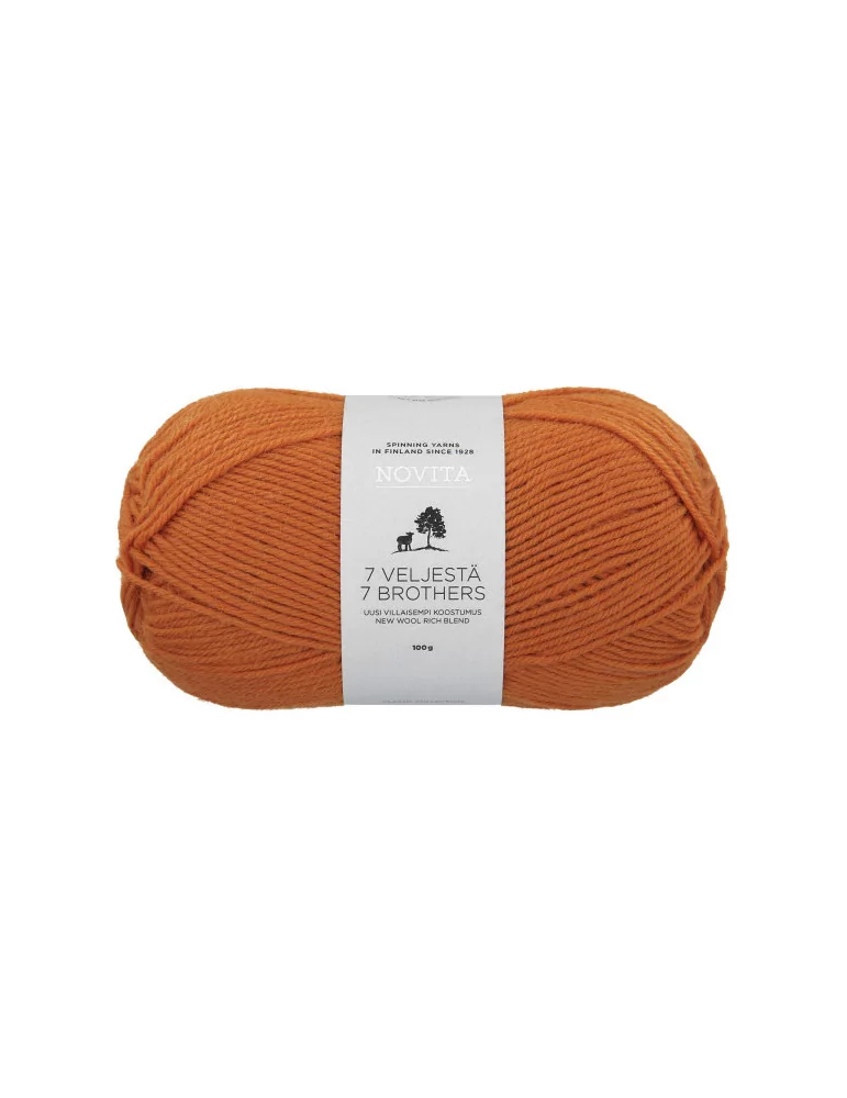 7 Veljestä 100g 273 hapero Novita