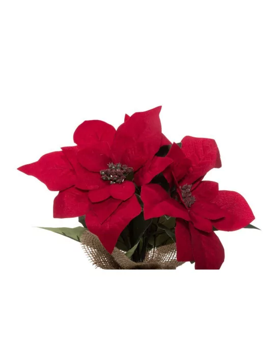 Joulutähti 3-kukan 25 cm punainen Winteria