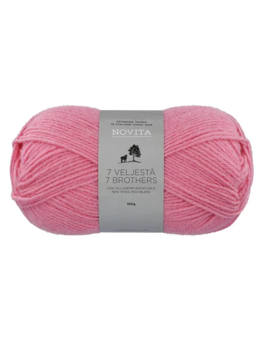 7 Veljestä 100g 510 karamelli Novita