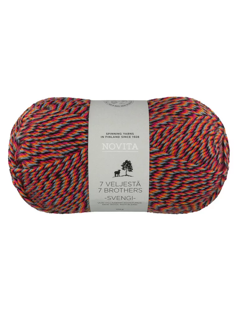 7 veljestä Svengi karnevaali 8221